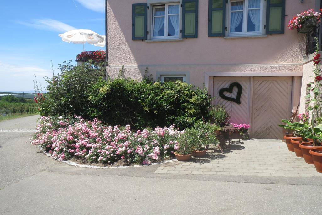 Gaestehaus Frohe Aussicht Кресброн ам Бодензее Екстериор снимка
